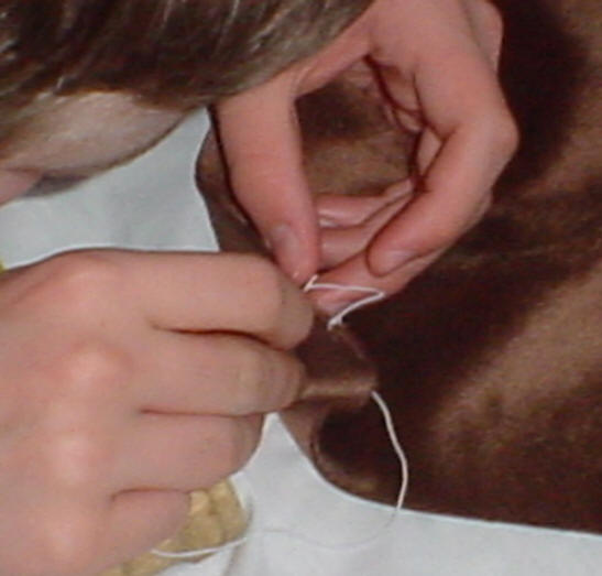 Photo showing how to string the top of the tabernacle kit Holy Place tent coverings.